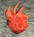 Heart.gif