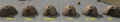 Thumbnail for version as of 19:16, 2 January 2022