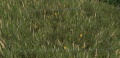 Thumbnail for version as of 14:40, 23 May 2014