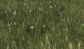 Thumbnail for version as of 14:47, 23 May 2014