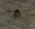 Thumbnail for version as of 16:35, 30 October 2021