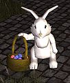 Easter bunny.jpg