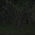 Thumbnail for version as of 03:15, 26 July 2017