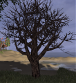 Thumbnail for version as of 15:34, 26 October 2019