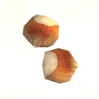 A Hazelnuts