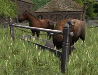 A Hitching post