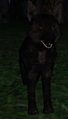 Wolf0jj.png