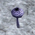 Blue mushroom.jpg