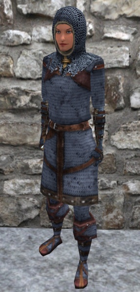 File:Steelchainarmor.jpg