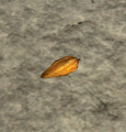 Cacao pod.png