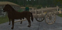 A Large cart