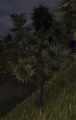 Thumbnail for version as of 13:55, 2 November 2019