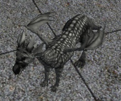A White dragon hatchling