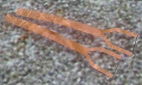 A Stirrups