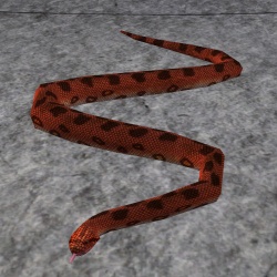 A Cobra king