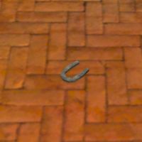 A Horse shoe