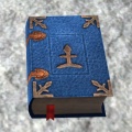 Blue tome of magic.jpg