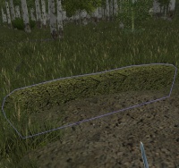 A Hedge