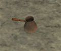 Thumbnail for version as of 17:53, 30 October 2021