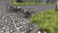 Fogspider1.jpg