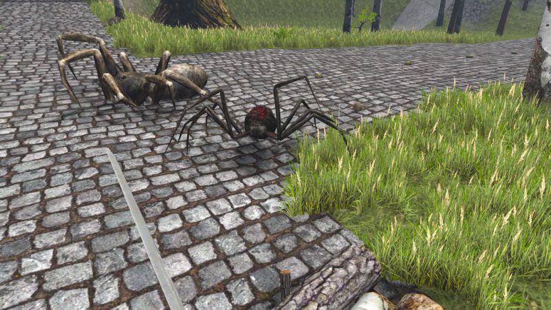 File:Fogspider1.jpg