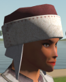 Thumbnail for version as of 23:20, 4 March 2021