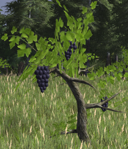 File:Blue grapes fruit.png