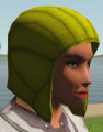 Thumbnail for version as of 23:22, 4 March 2021