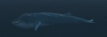 Thumbnail for version as of 09:43, 19 January 2015