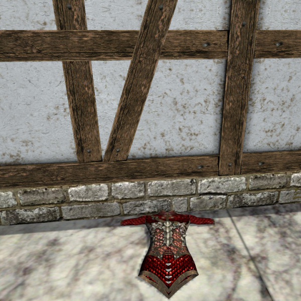 File:Dragon scale jacket.jpg
