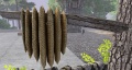 Thumbnail for version as of 20:21, 25 November 2016