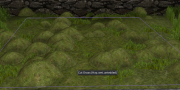 A Cut Grass