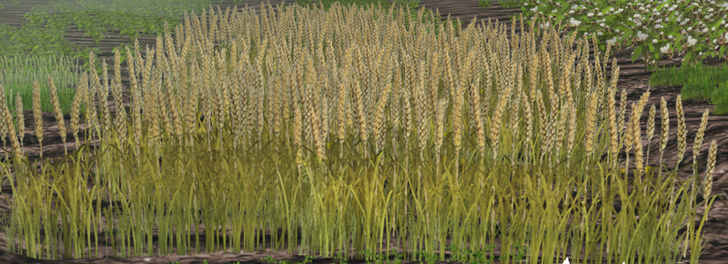 File:Barley-harvest.png