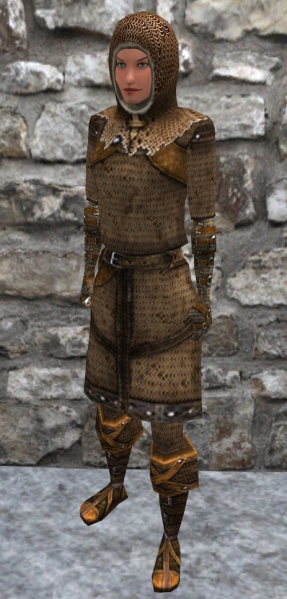 File:Bronzechainarmor.jpg