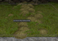 Hay halfway dried.png