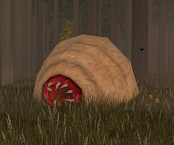 A Spawn of Uttacha