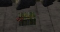 Thumbnail for version as of 17:08, 21 February 2019