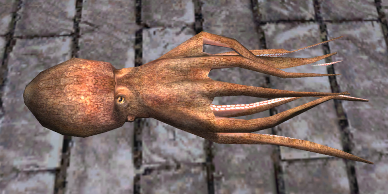 File:Octopus.png