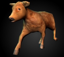 A Calf