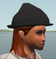 Dark foresters wool hat.png