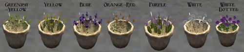 Seven pottery flowerpot with different flowers on them as labelled.