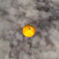 Thumbnail for version as of 16:26, 26 December 2016