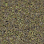 A Steppe