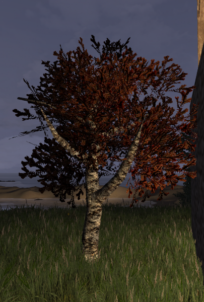 File:Frond tree .png