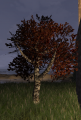 Thumbnail for version as of 23:50, 16 October 2019