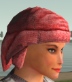 Thumbnail for version as of 23:21, 4 March 2021