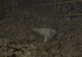 Thumbnail for version as of 11:55, 21 April 2015