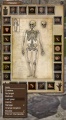 Thumbnail for version as of 23:53, 7 June 2016