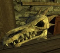 '''Skull'''.jpg