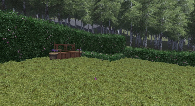 File:Oleander hedge.jpg